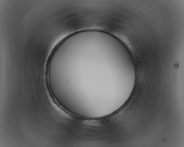 X0000090471135200708031259