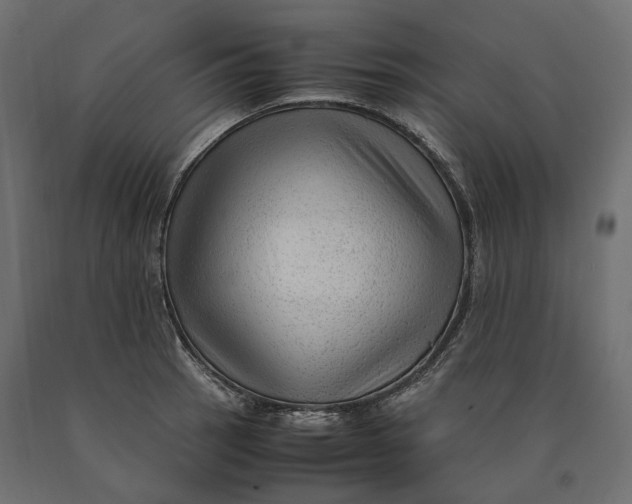 X0000090471137200708031259