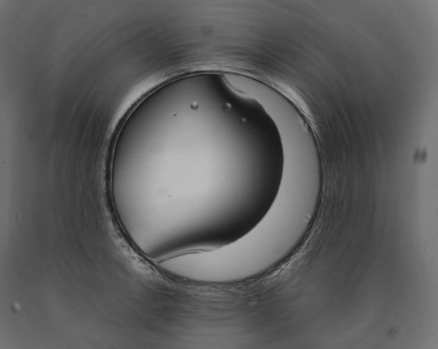 X0000090471138200708031259