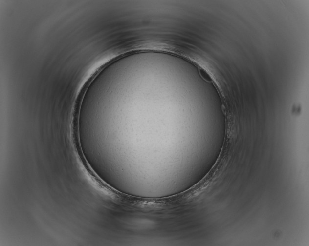 X0000090471139200708031259