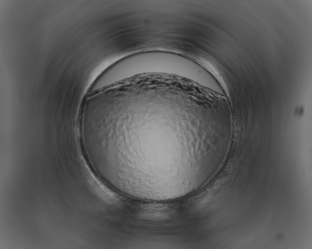 X0000090471141200708031259