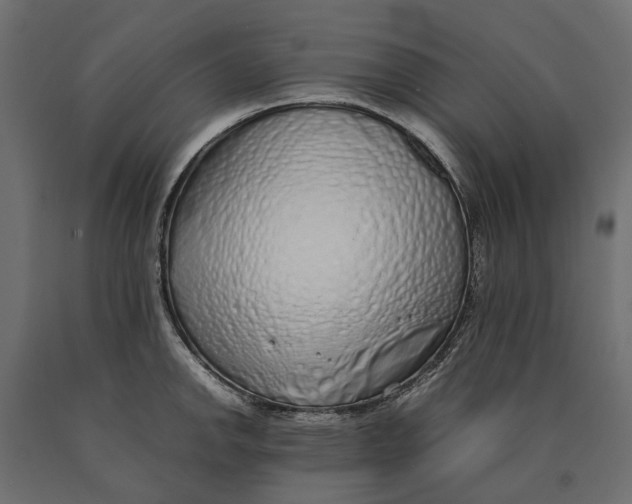 X0000090471142200708031259