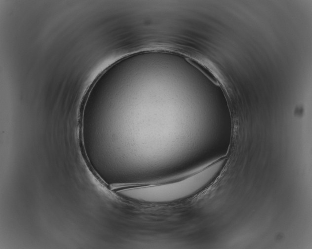 X0000090471143200708031259