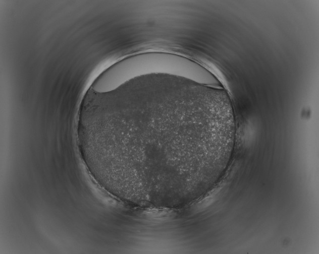 X0000090471146200708031259