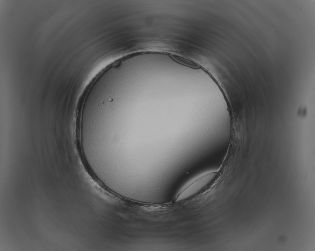 X0000090471147200708031259