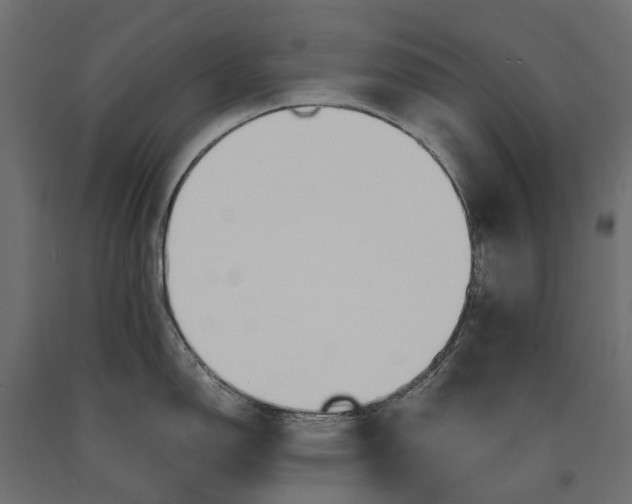 X0000090471150200708031259