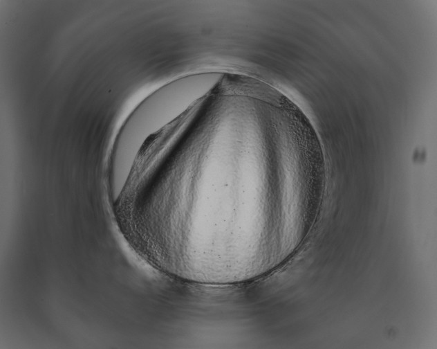 X0000090471152200708031259