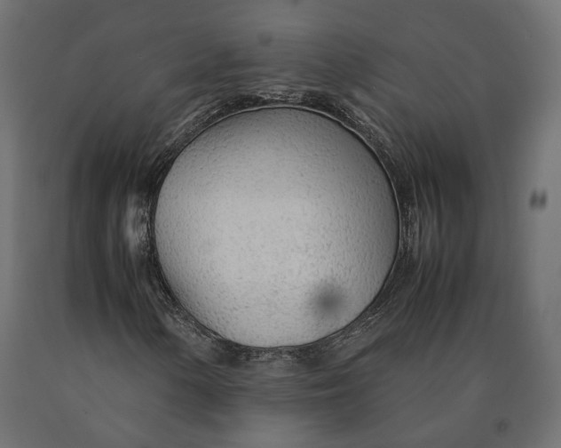 X0000090471154200708031258