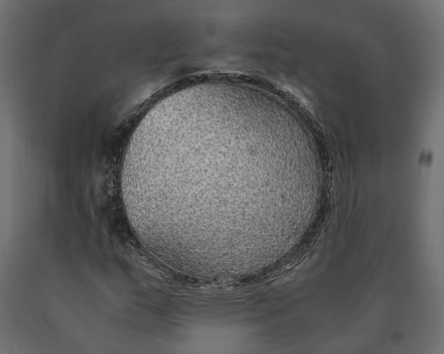 X0000090471159200708031258