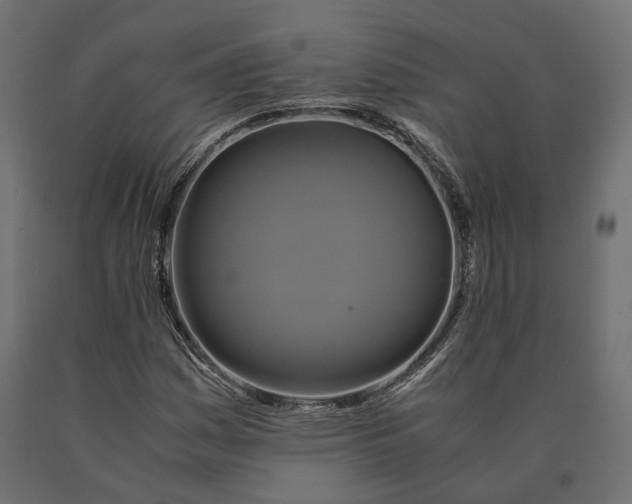 X0000090471161200708031258