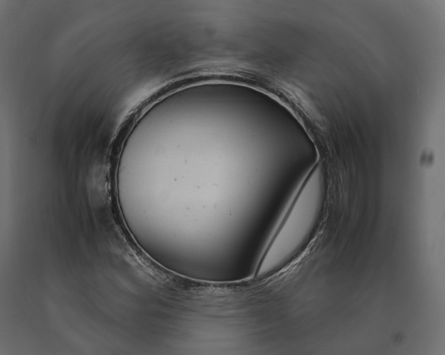 X0000090471164200708031258