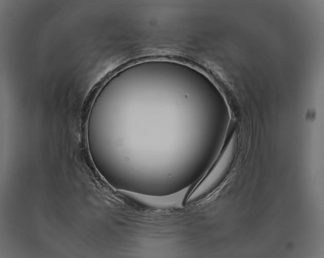 X0000090471165200708031258