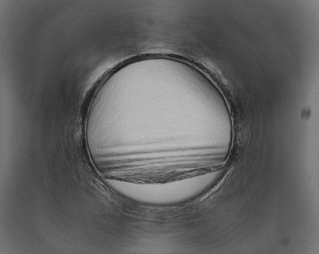 X0000090471167200708031258