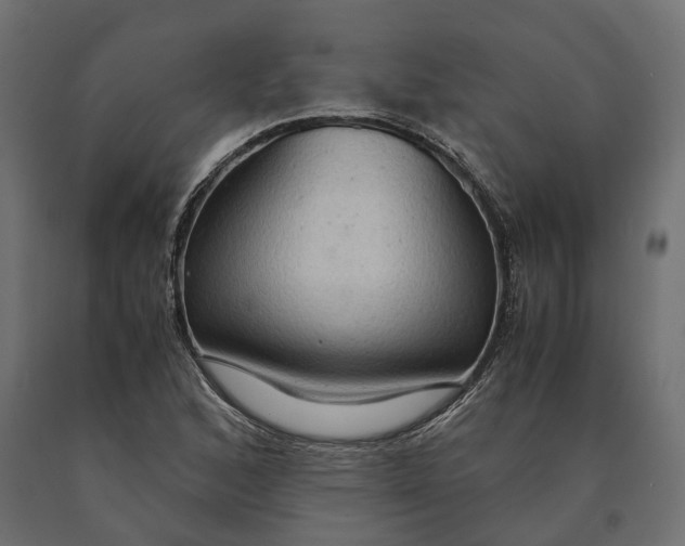 X0000090471168200708031258