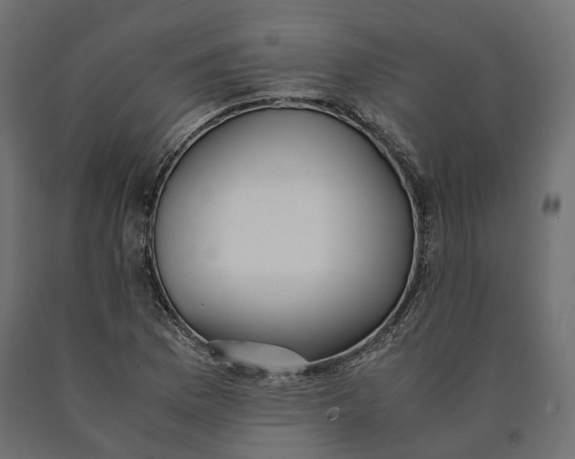 X0000090471169200708031258