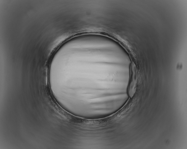 X0000090471171200708031258