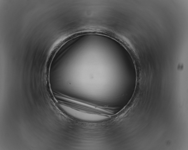 X0000090471172200708031258