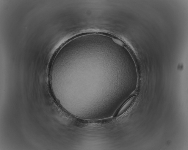 X0000090471173200708031258