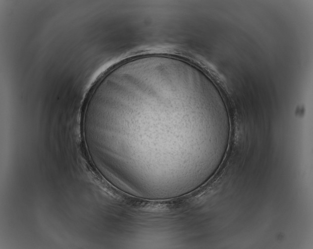 X0000090471174200708031258