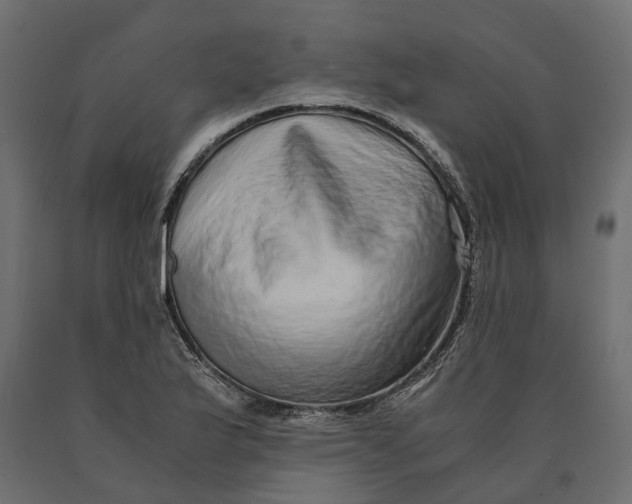 X0000090471175200708031258