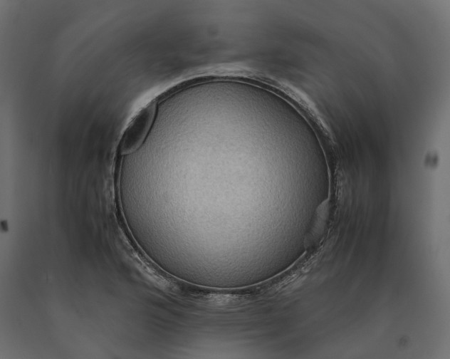 X0000090471176200708031258