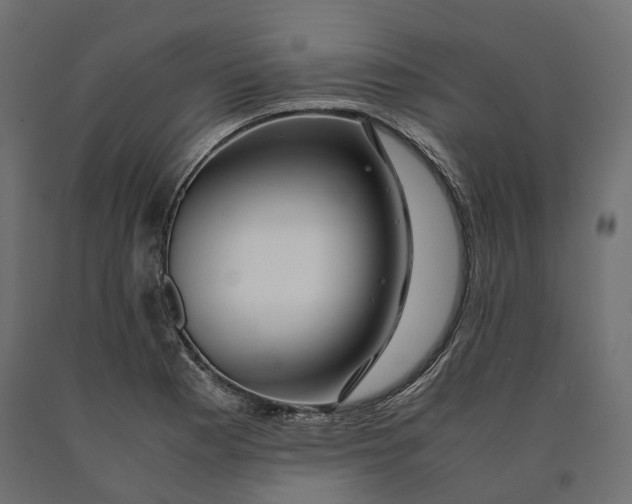 X0000090471177200708031258