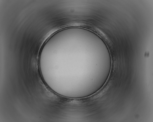 X0000090471178200708031258