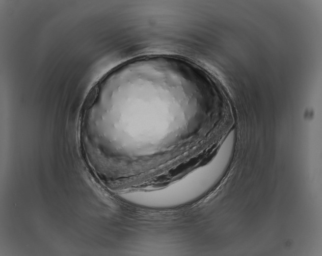 X0000090471179200708031258