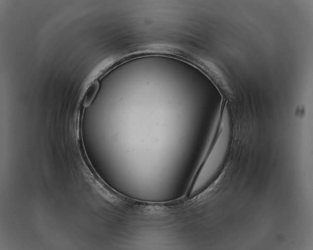 X0000090471180200708031258