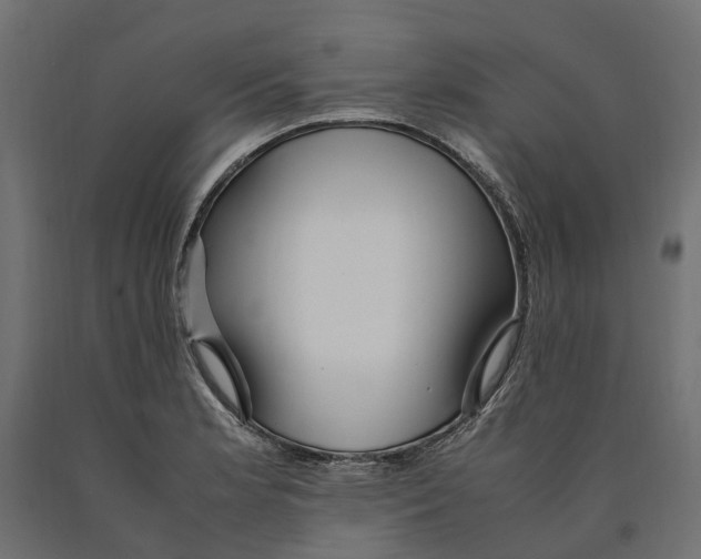 X0000090471181200708031258