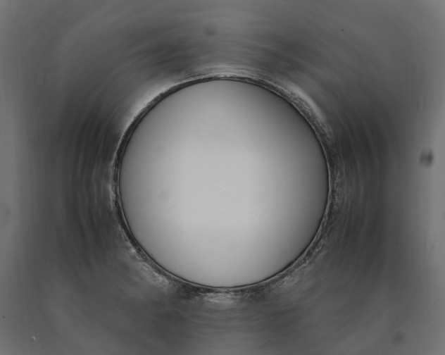 X0000090471182200708031258