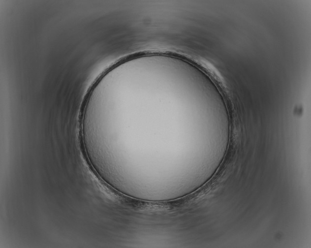 X0000090471183200708031258