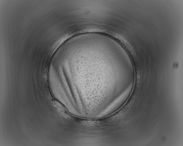 X0000090471185200708031258