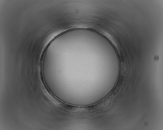 X0000090471187200708031258