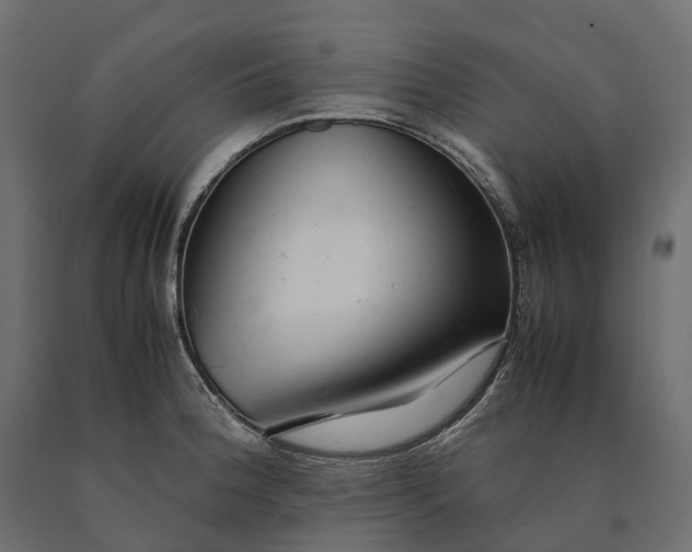 X0000090471188200708031258