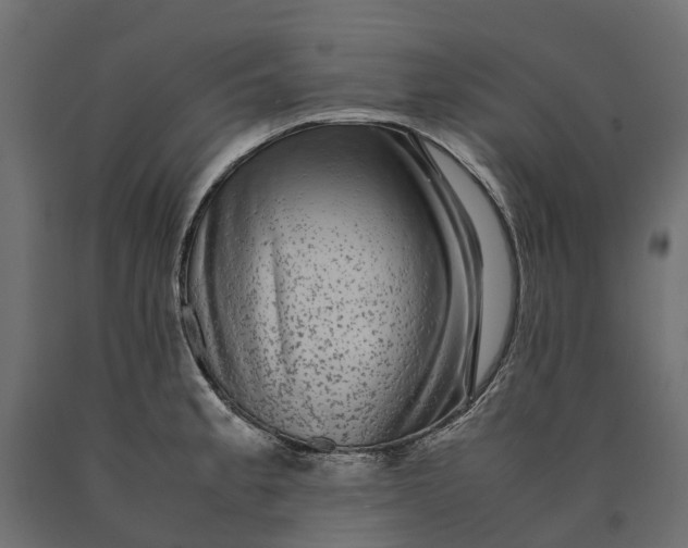 X0000090471189200708031258