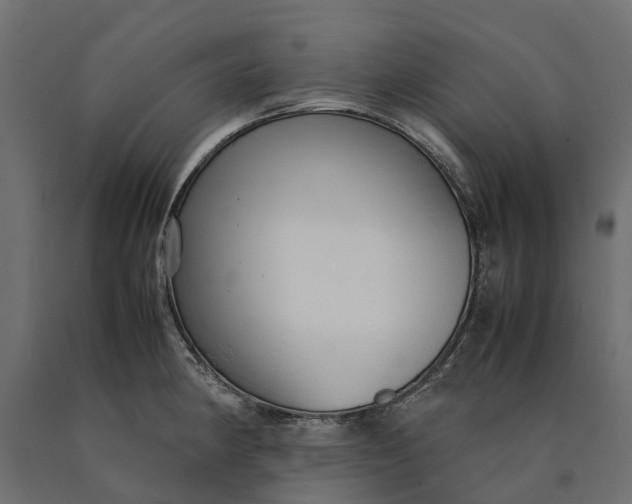 X0000090471190200708031258