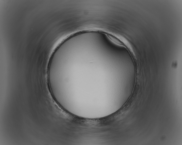 X0000090471191200708031258