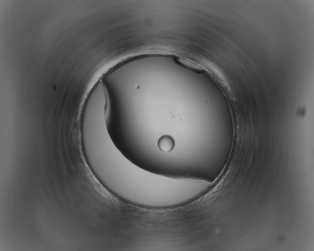 X0000090471192200708031258