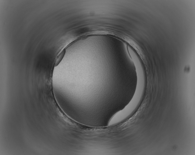 X0000090471193200708031258