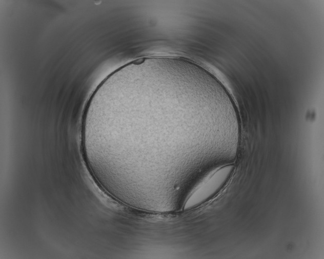 X0000090471195200708031258