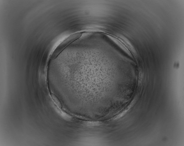 X0000090471196200708031258