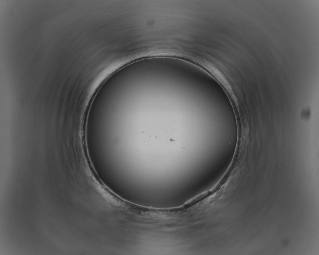 X0000090471197200708031258