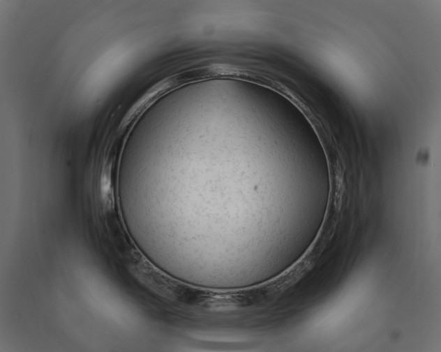 X0000090471198200708031258