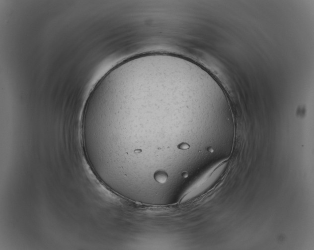 X0000090471199200708031258