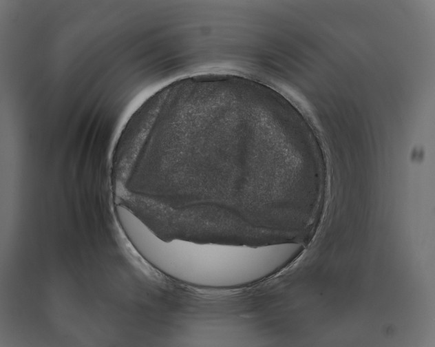 X0000090471200200708031258