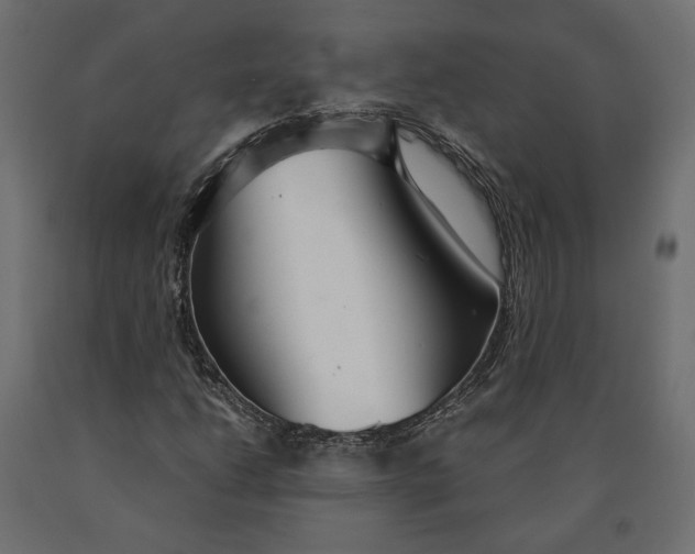 X0000090471206200708031257