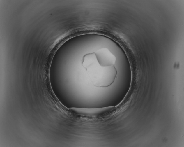 X0000090471210200708031257