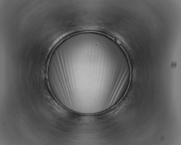 X0000090471212200708031257