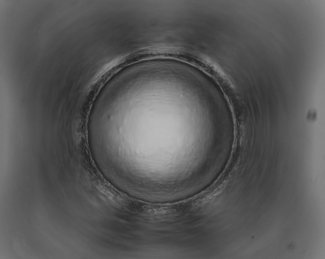 X0000090471213200708031257